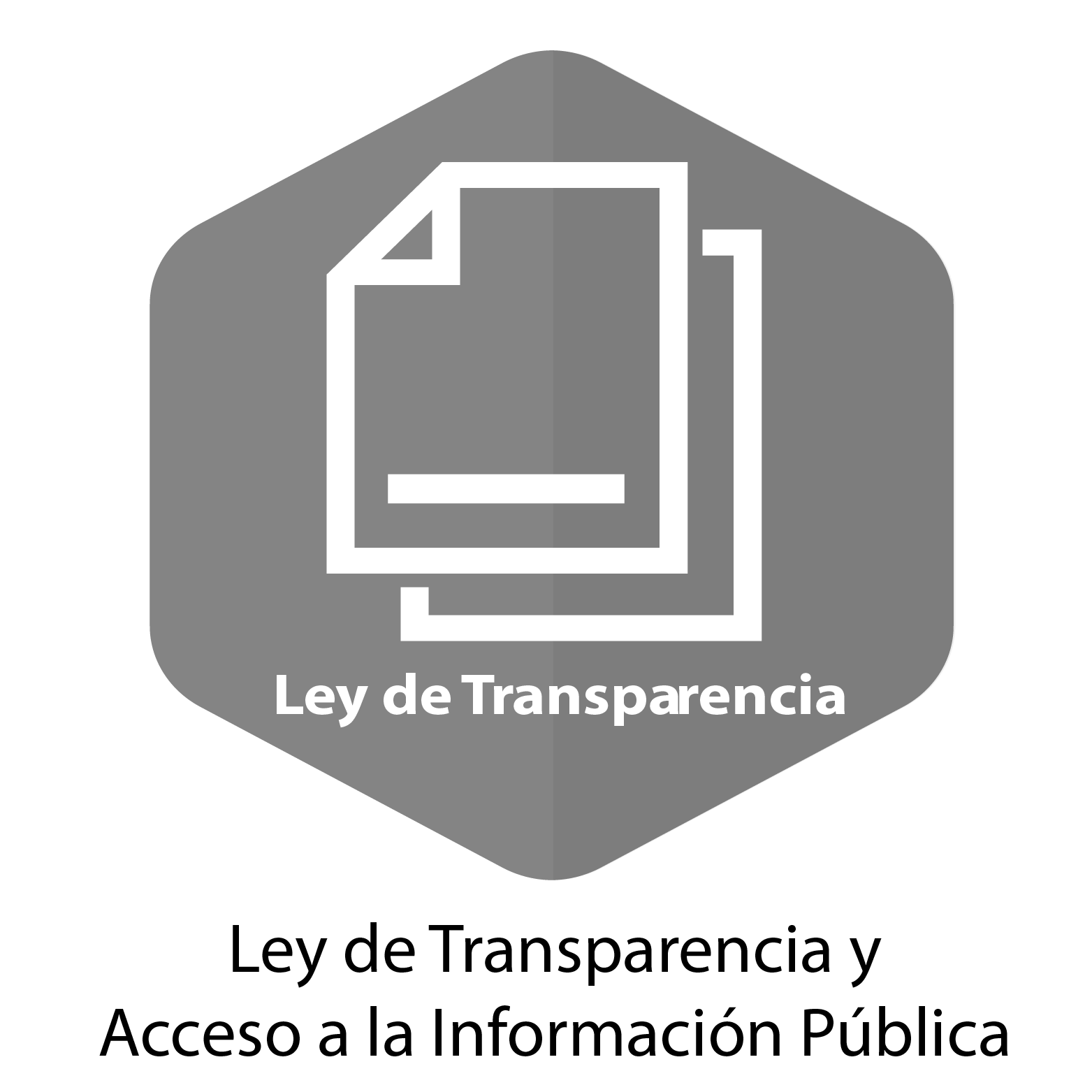 Imágen de Ley de Transparencia en Escala de Grises