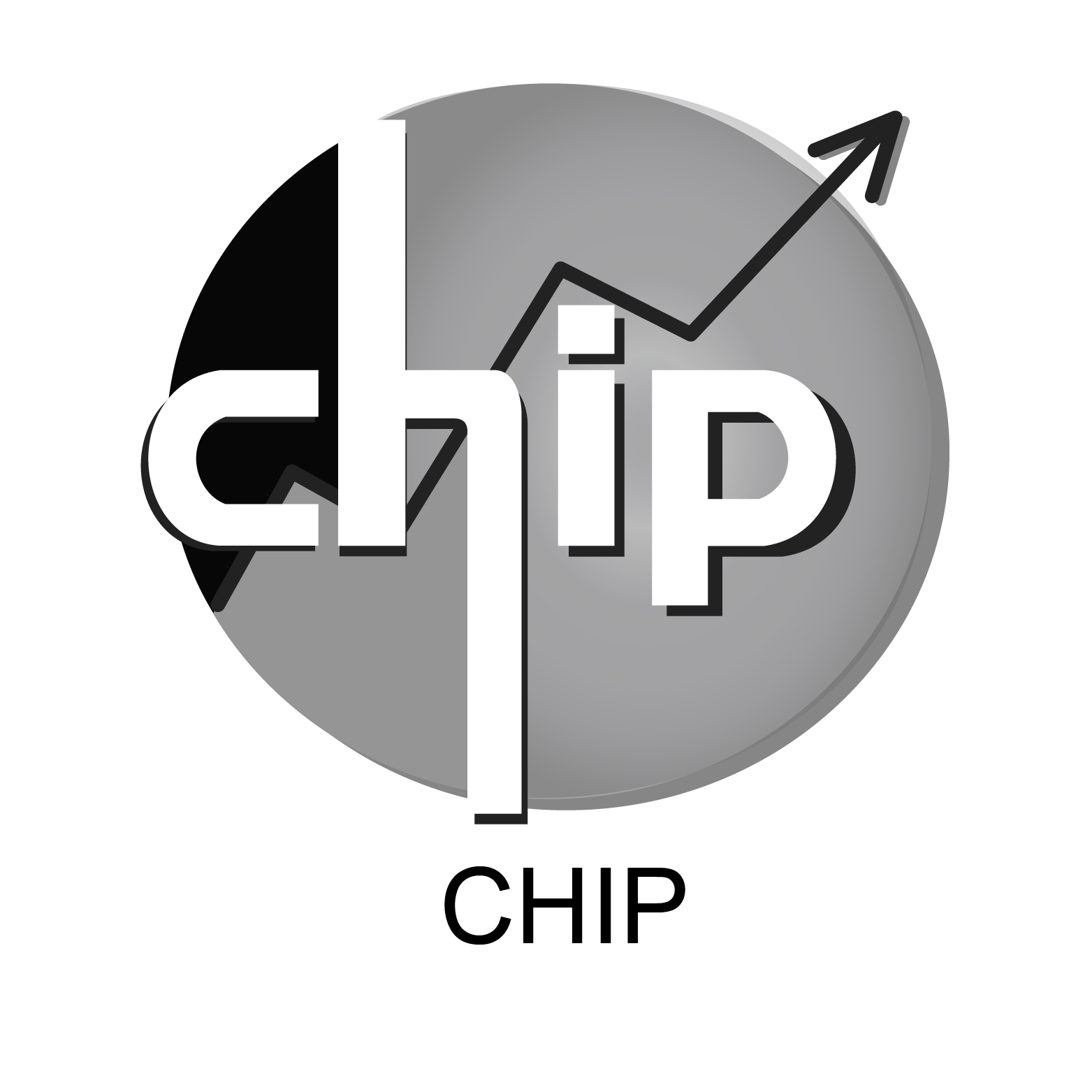 Imágen del CHIP en Escala de Grises